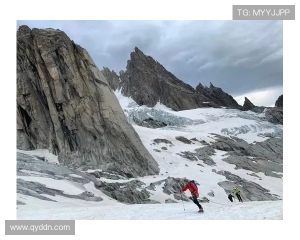 重庆排球队配合变革引发热议提升整体实力与战术水平的探索之路